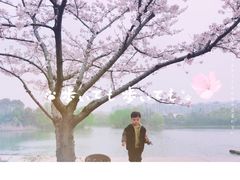 -新江湾城公园