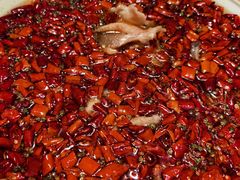 -朝馆·市井本味菜