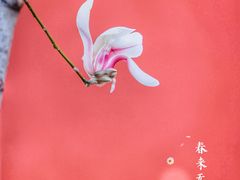 -东华门大街小区