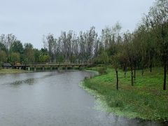 -东郊湿地公园