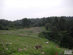 -保利石象湖景区