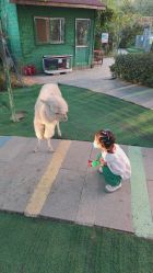 -萌宠亲子动物乐园(槐房万达店)