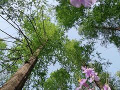 -白沙门生态公园