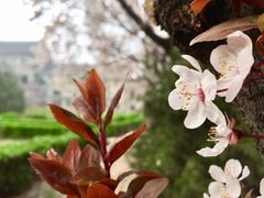 -山东师范大学(千佛山校区)