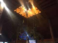 -清迈夜间动物园
