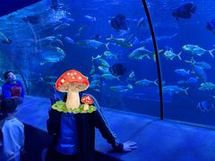 -太平洋海底世界