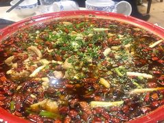 -东吴霸王兔(松青路店)