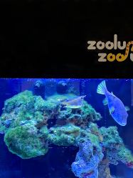 -Zoolung Zoolung动物主题公园(海信广场店)