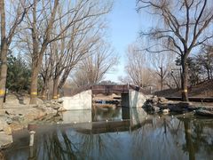 -圆明园遗址公园-藻园门售票处