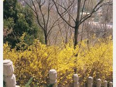 -山西乌金山旅游区