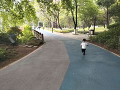 -百林公园-两江幸福广场