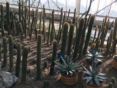 -南山植物园