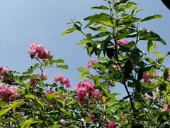 -老门东历史文化街区