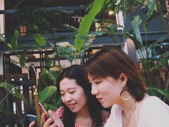 -Fern Forest Cafe