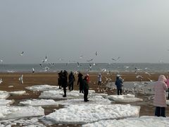 -老虎石海上公园