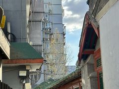 -清真西花市煎饼