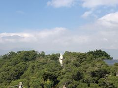 -金鸡山公园