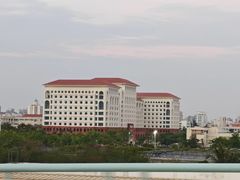 -万绿园