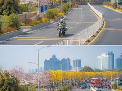 -洲头咀公园