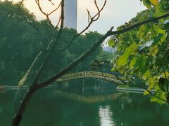 -晓港公园