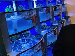 -七欣天香辣蟹火锅(上海银亿滨江店)