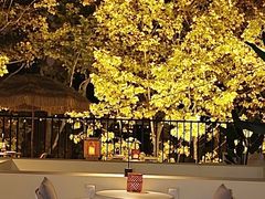 -HUATA 'Holiday Plan 花榻