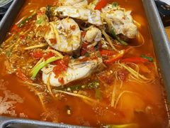 仔姜耗儿鱼-蜀宴小调·精致家常菜(科华店)