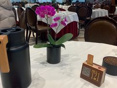 -金河半岛园林酒家(金融城店)
