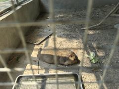 -广东花都香草世界旅游度假区