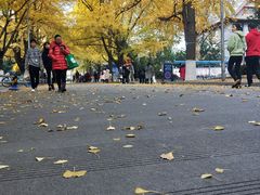 -四川大学(华西校区)