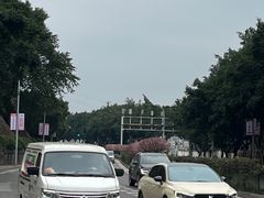 -西南政法大学(渝北校区)