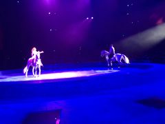 -珠海横琴长隆《卡卡虎奇遇记》