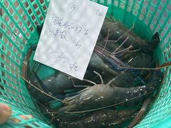 -寻味顺德·南记酒家·传统顺德菜·鱼生(广源路店)