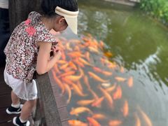 -枫香湖儿童公园