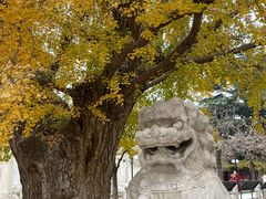 -北京石刻艺术博物馆(五塔寺)