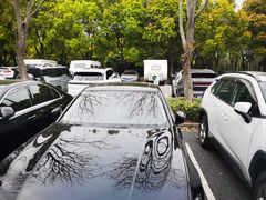 -顾村公园3号门停车场