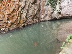 -雁荡山三折瀑景区