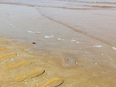 -青岛银沙滩