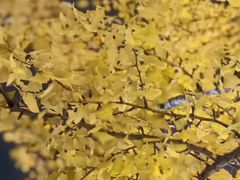 -白塘生态植物园