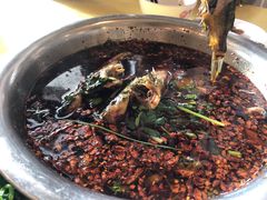 红汤江团-胖大姐黄辣丁鱼庄(新津店)