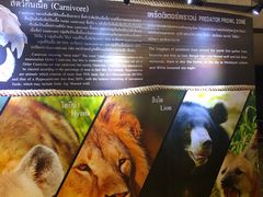 -清迈夜间动物园