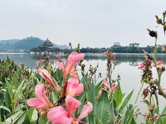 -顺峰山公园