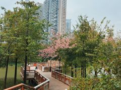 -广东花都湖国家湿地公园