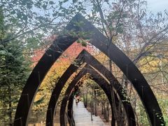 -六鼎山文化旅游区