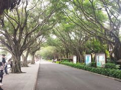 -大湾区中央湿地公园