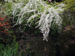 -中国茶叶博物馆(双峰馆区)