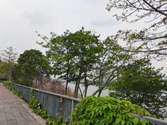 -窑埠古镇