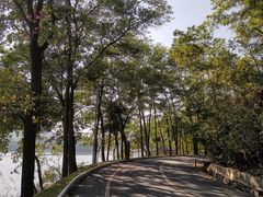 -红花湖景区