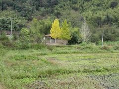 -韶关经律论国际酒店温泉