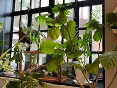 -一尺花园(安和花园店)